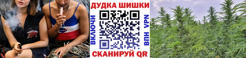 как найти наркотики  Темников  МАРИХУАНА сатива 